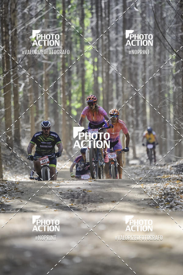 Buy your photos of the event16 Edio Maratona 100Km Canaviais on Fotop
