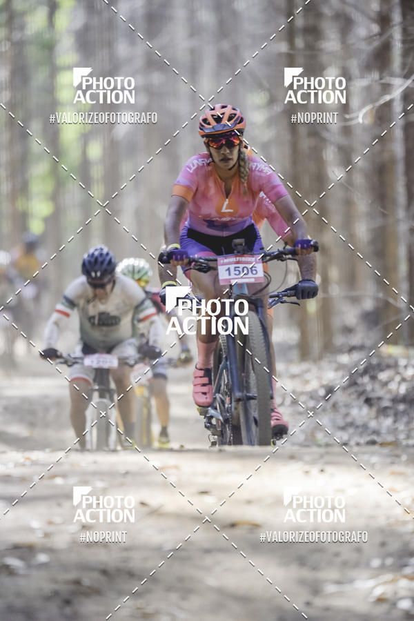 Buy your photos of the event16 Edio Maratona 100Km Canaviais on Fotop
