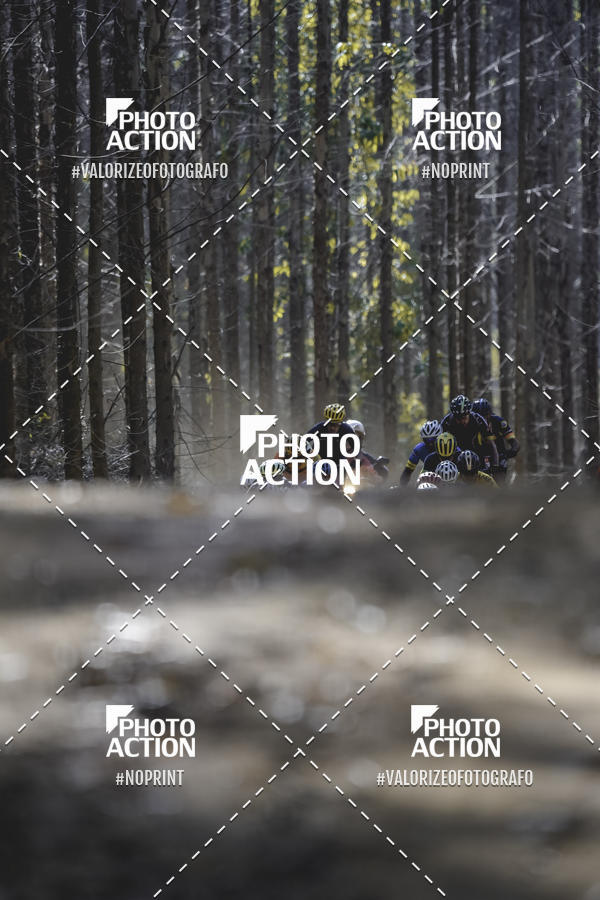 Buy your photos of the event16 Edio Maratona 100Km Canaviais on Fotop