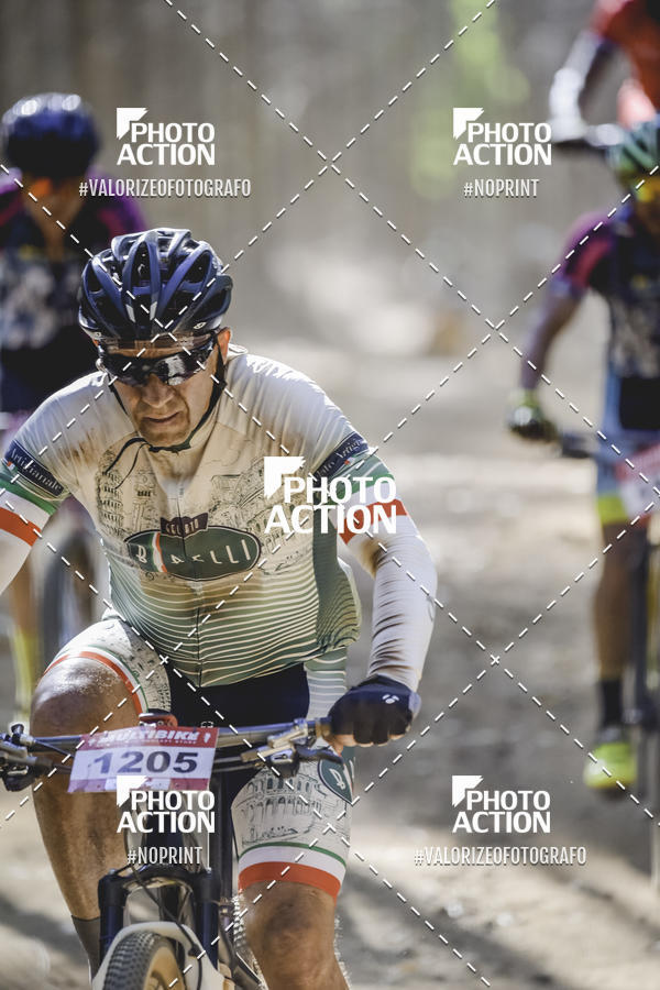 Buy your photos of the event16 Edio Maratona 100Km Canaviais on Fotop
