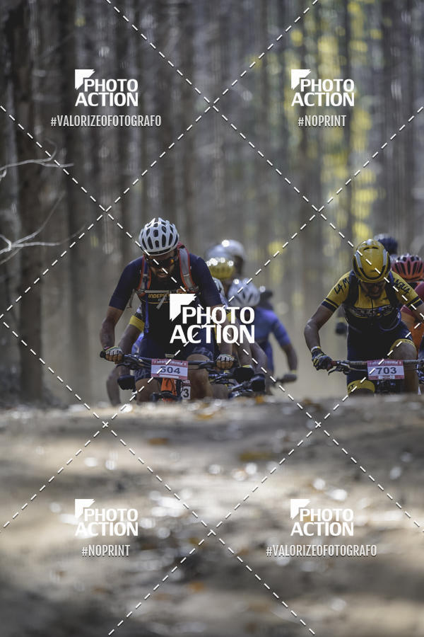 Buy your photos of the event16 Edio Maratona 100Km Canaviais on Fotop