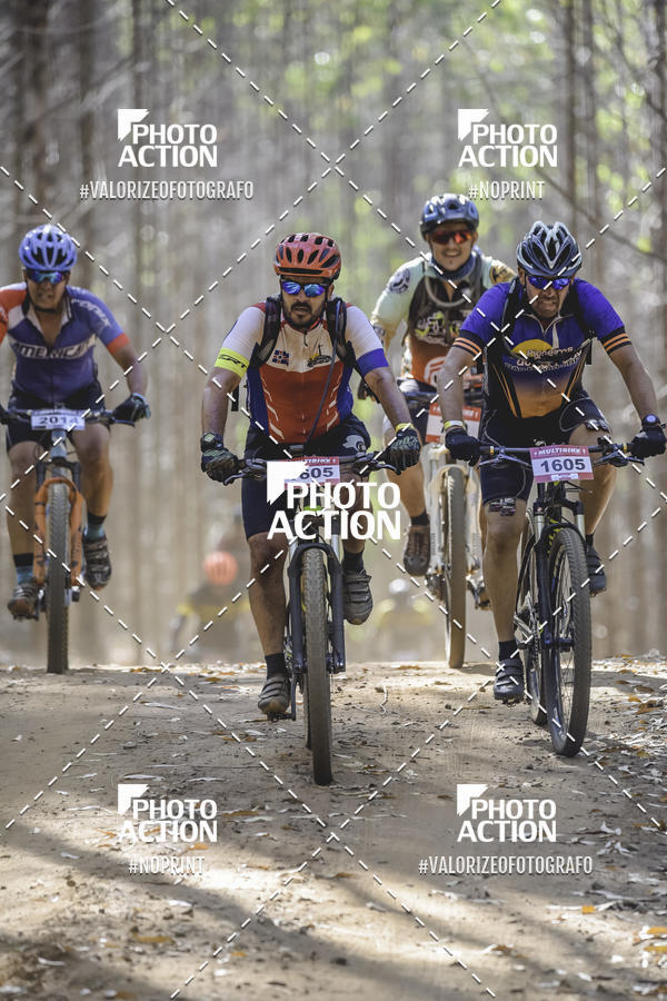 Buy your photos of the event16 Edio Maratona 100Km Canaviais on Fotop