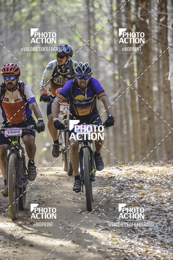 Buy your photos of the event16 Edio Maratona 100Km Canaviais on Fotop
