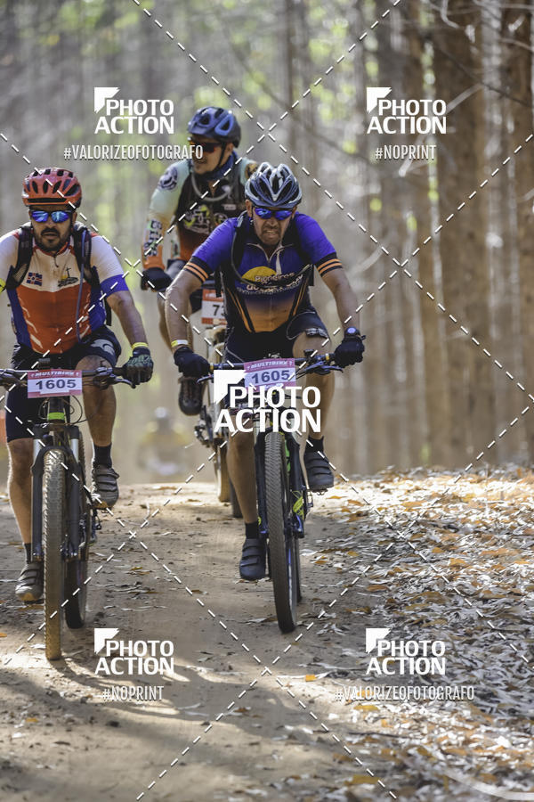 Buy your photos of the event16 Edio Maratona 100Km Canaviais on Fotop