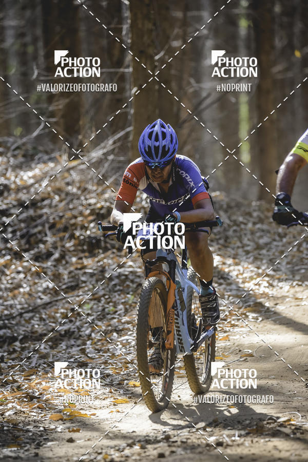 Buy your photos of the event16 Edio Maratona 100Km Canaviais on Fotop