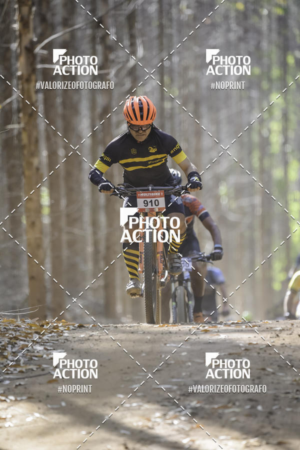 Buy your photos of the event16 Edio Maratona 100Km Canaviais on Fotop