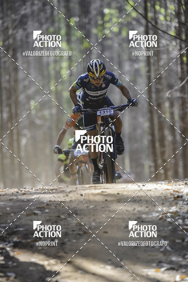 Buy your photos of the event16 Edio Maratona 100Km Canaviais on Fotop