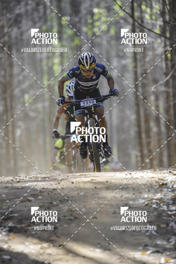 Buy your photos of the event16 Edio Maratona 100Km Canaviais on Fotop