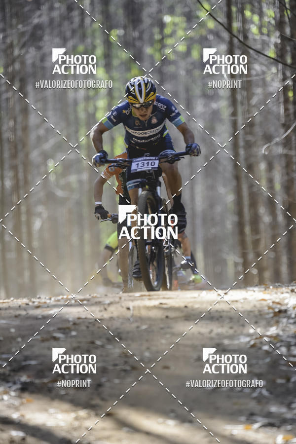 Buy your photos of the event16 Edio Maratona 100Km Canaviais on Fotop