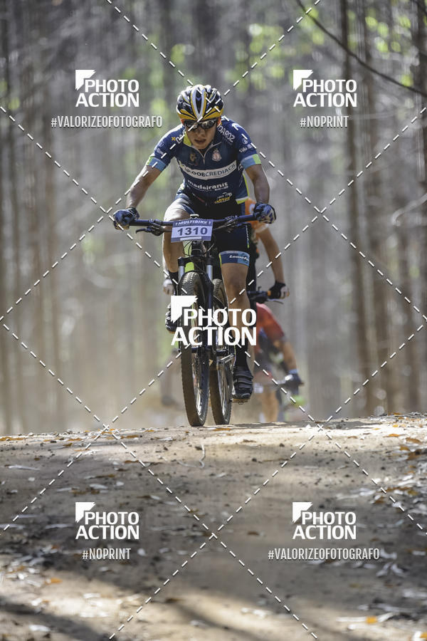 Buy your photos of the event16 Edio Maratona 100Km Canaviais on Fotop