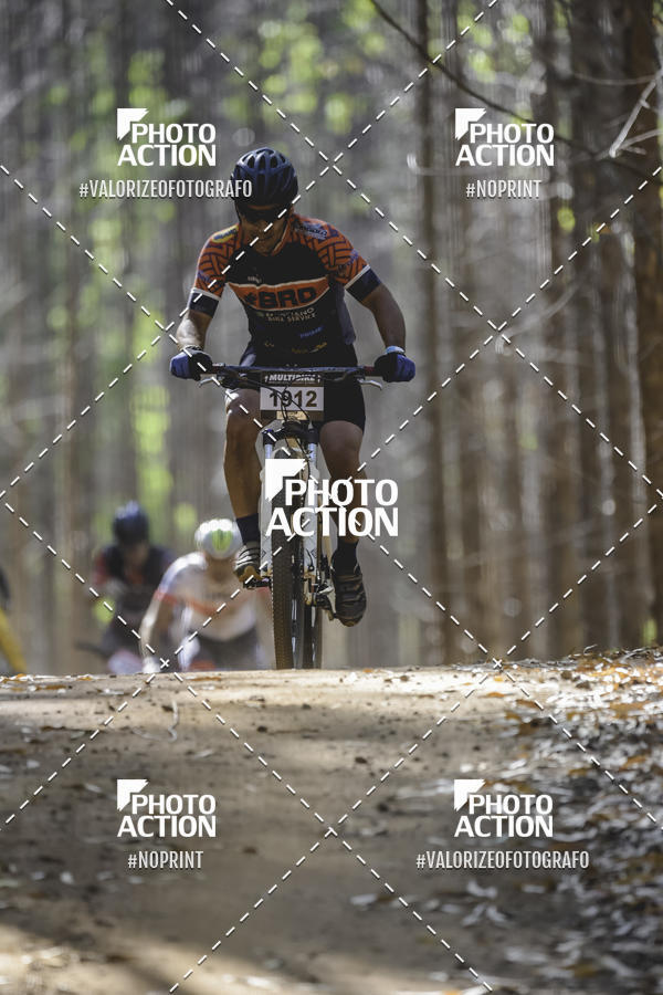 Buy your photos of the event16 Edio Maratona 100Km Canaviais on Fotop