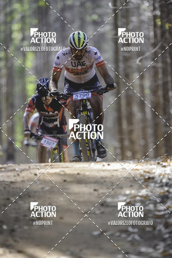 Buy your photos of the event16 Edio Maratona 100Km Canaviais on Fotop