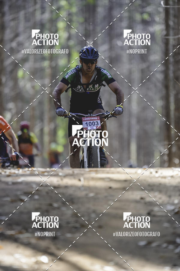 Buy your photos of the event16 Edio Maratona 100Km Canaviais on Fotop