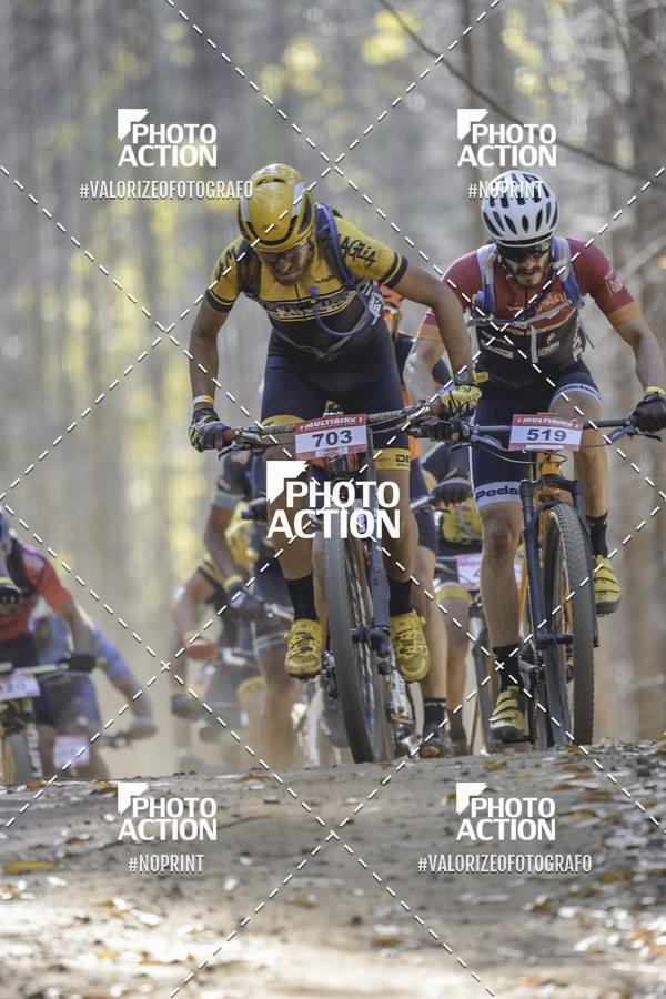 Buy your photos of the event16 Edio Maratona 100Km Canaviais on Fotop