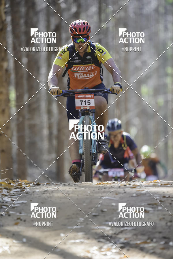 Buy your photos of the event16 Edio Maratona 100Km Canaviais on Fotop