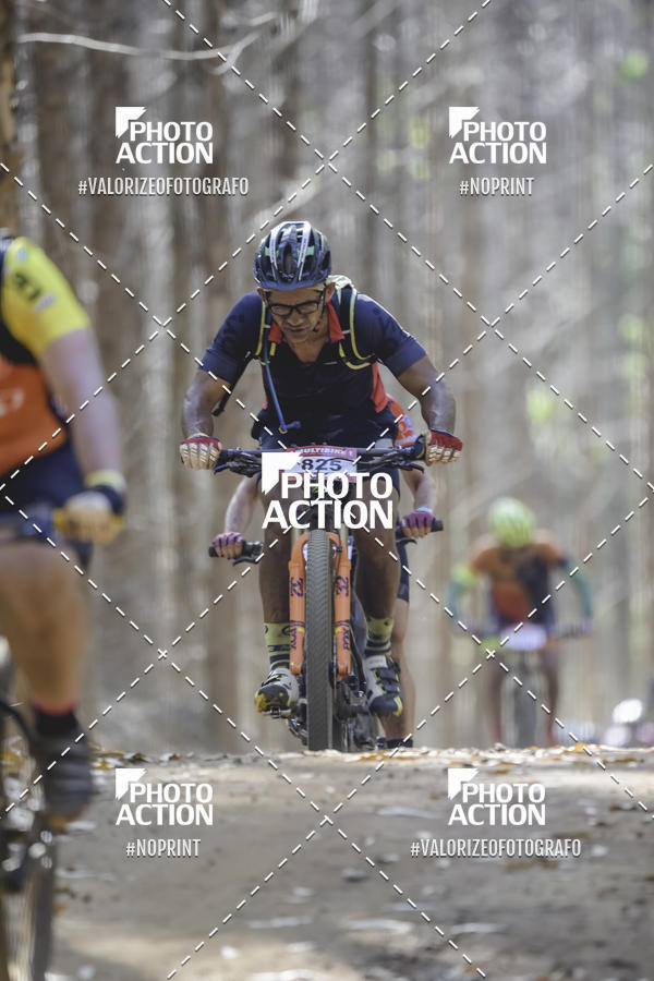 Buy your photos of the event16 Edio Maratona 100Km Canaviais on Fotop