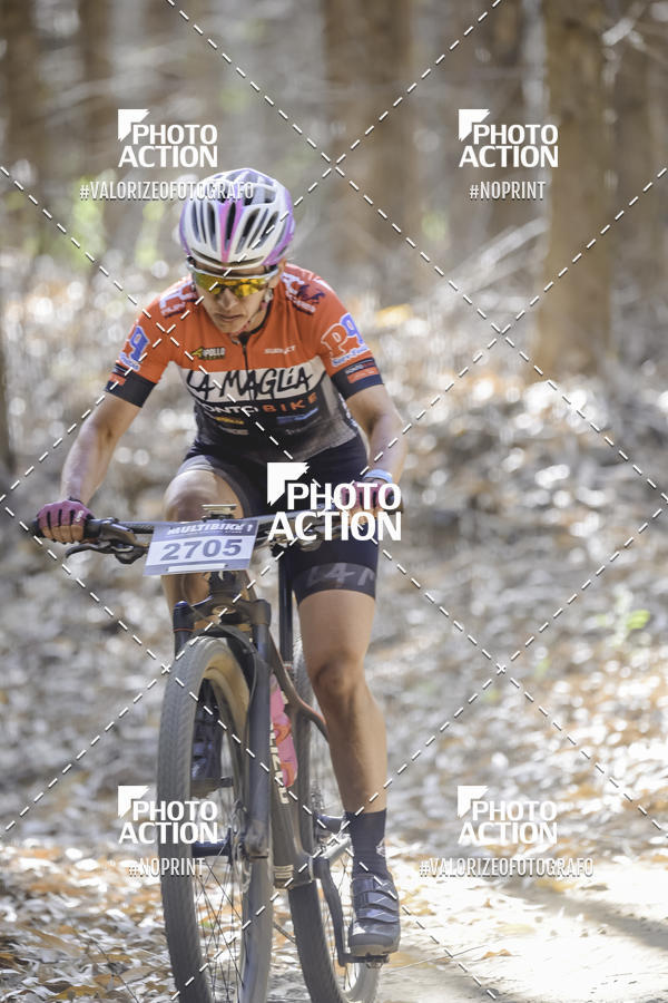 Buy your photos of the event16 Edio Maratona 100Km Canaviais on Fotop