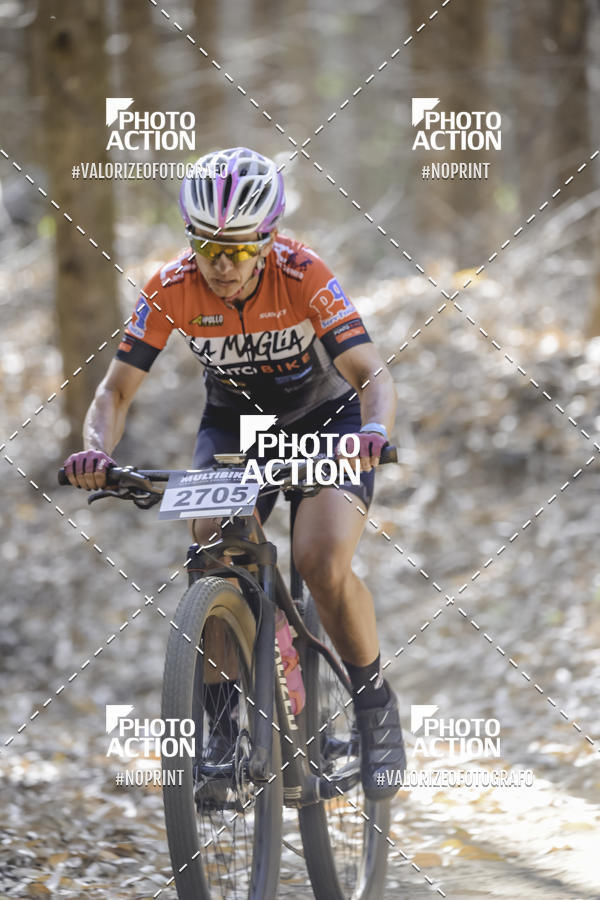 Buy your photos of the event16 Edio Maratona 100Km Canaviais on Fotop