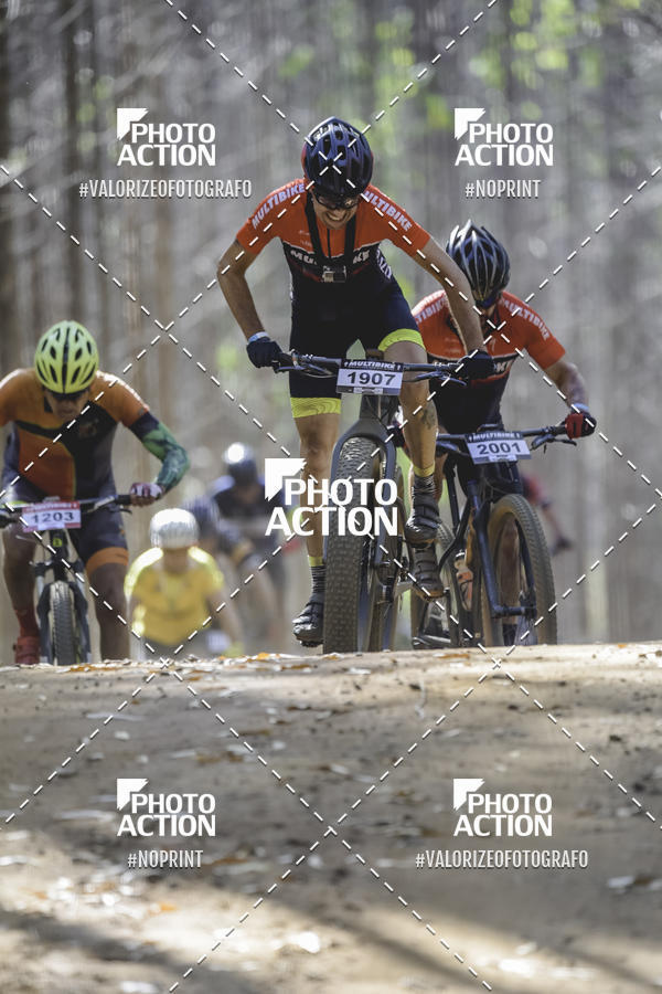 Buy your photos of the event16 Edio Maratona 100Km Canaviais on Fotop