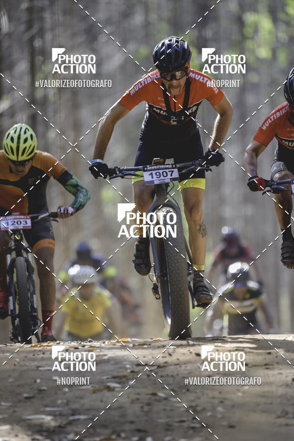 Buy your photos of the event16 Edio Maratona 100Km Canaviais on Fotop