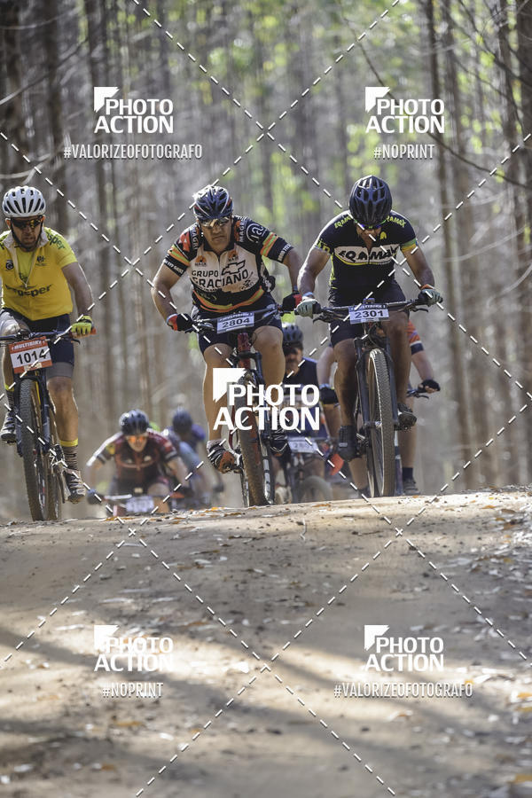 Buy your photos of the event16 Edio Maratona 100Km Canaviais on Fotop