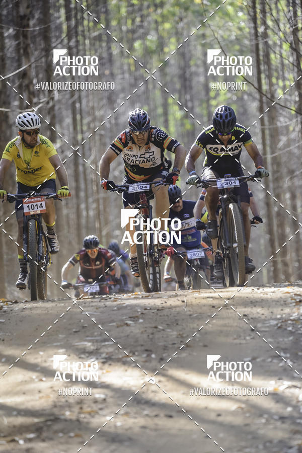 Buy your photos of the event16 Edio Maratona 100Km Canaviais on Fotop