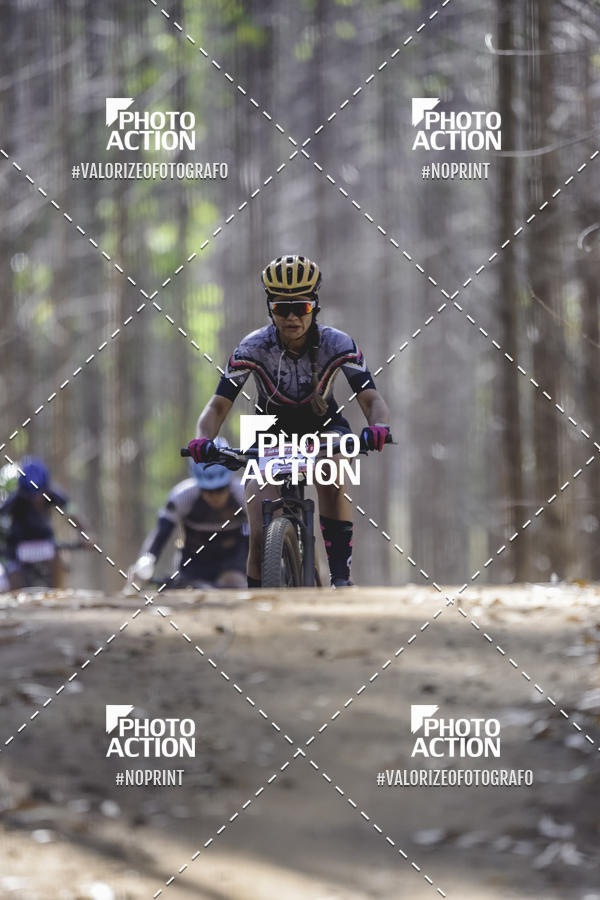 Buy your photos of the event16 Edio Maratona 100Km Canaviais on Fotop