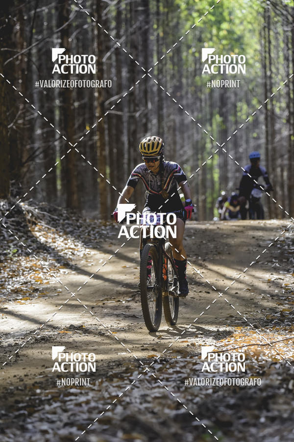 Buy your photos of the event16 Edio Maratona 100Km Canaviais on Fotop