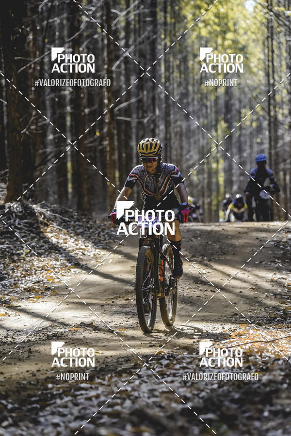 Buy your photos of the event16 Edio Maratona 100Km Canaviais on Fotop