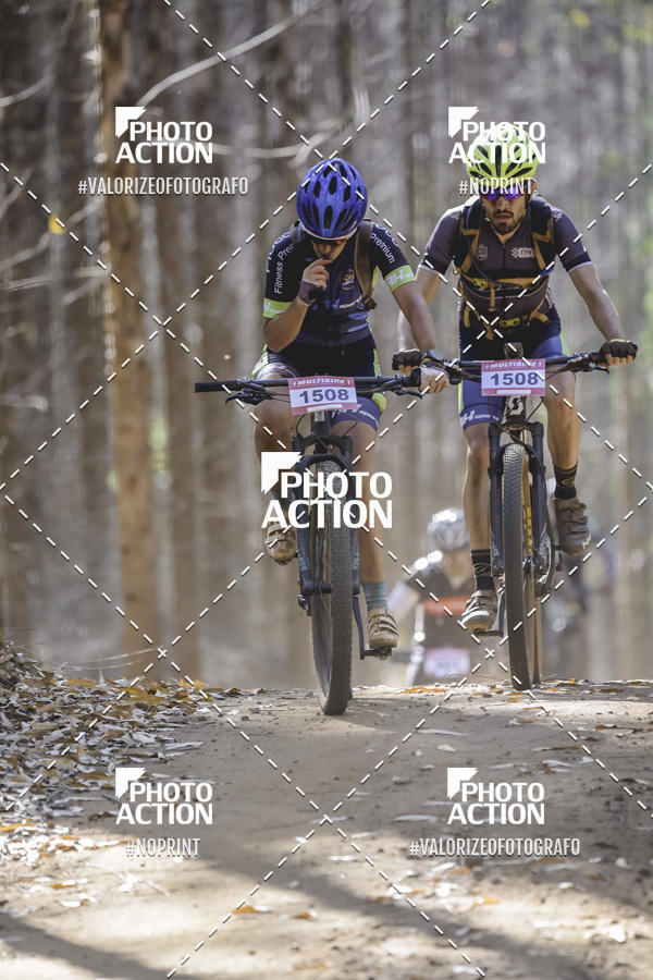 Buy your photos of the event16 Edio Maratona 100Km Canaviais on Fotop