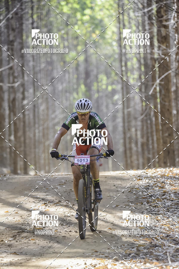 Buy your photos of the event16 Edio Maratona 100Km Canaviais on Fotop