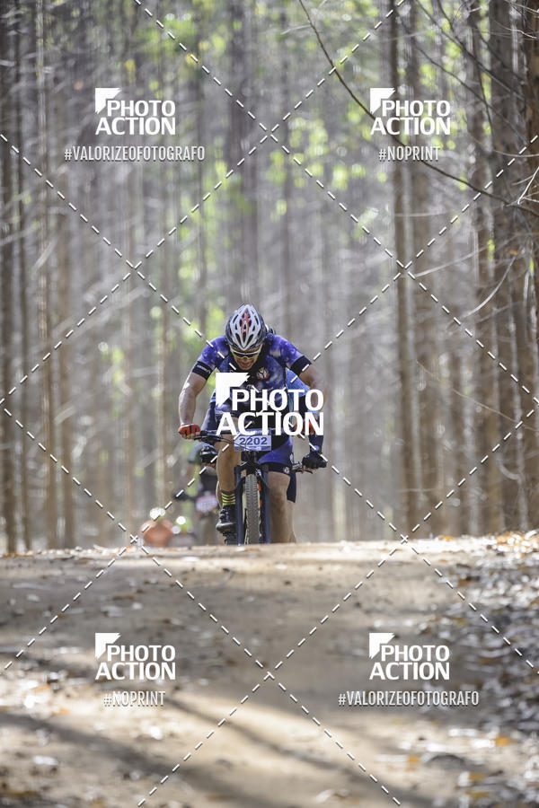 Buy your photos of the event16 Edio Maratona 100Km Canaviais on Fotop