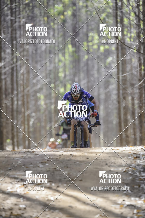Buy your photos of the event16 Edio Maratona 100Km Canaviais on Fotop