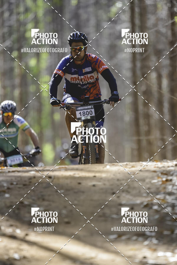 Buy your photos of the event16 Edio Maratona 100Km Canaviais on Fotop