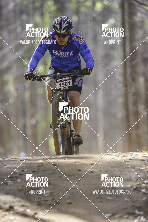 Buy your photos of the event16 Edio Maratona 100Km Canaviais on Fotop