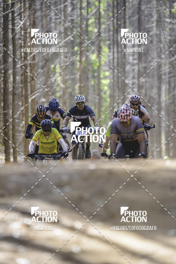 Buy your photos of the event16 Edio Maratona 100Km Canaviais on Fotop