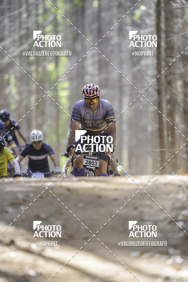 Buy your photos of the event16 Edio Maratona 100Km Canaviais on Fotop