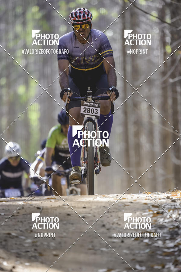 Buy your photos of the event16 Edio Maratona 100Km Canaviais on Fotop