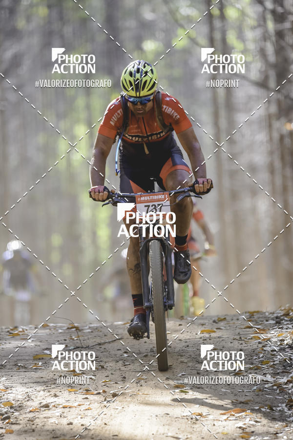 Buy your photos of the event16 Edio Maratona 100Km Canaviais on Fotop