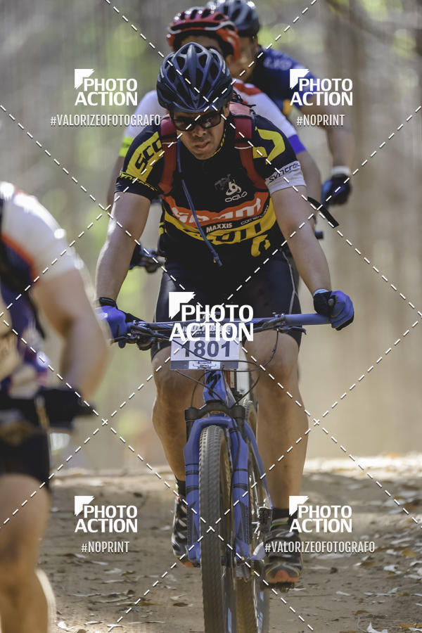 Buy your photos of the event16 Edio Maratona 100Km Canaviais on Fotop