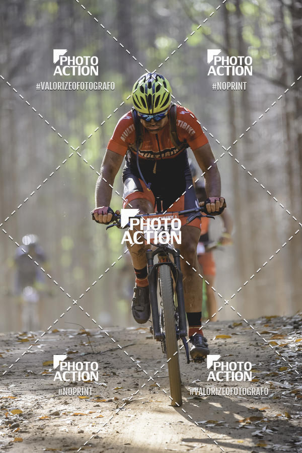 Buy your photos of the event16 Edio Maratona 100Km Canaviais on Fotop