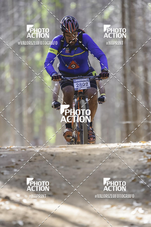 Buy your photos of the event16 Edio Maratona 100Km Canaviais on Fotop