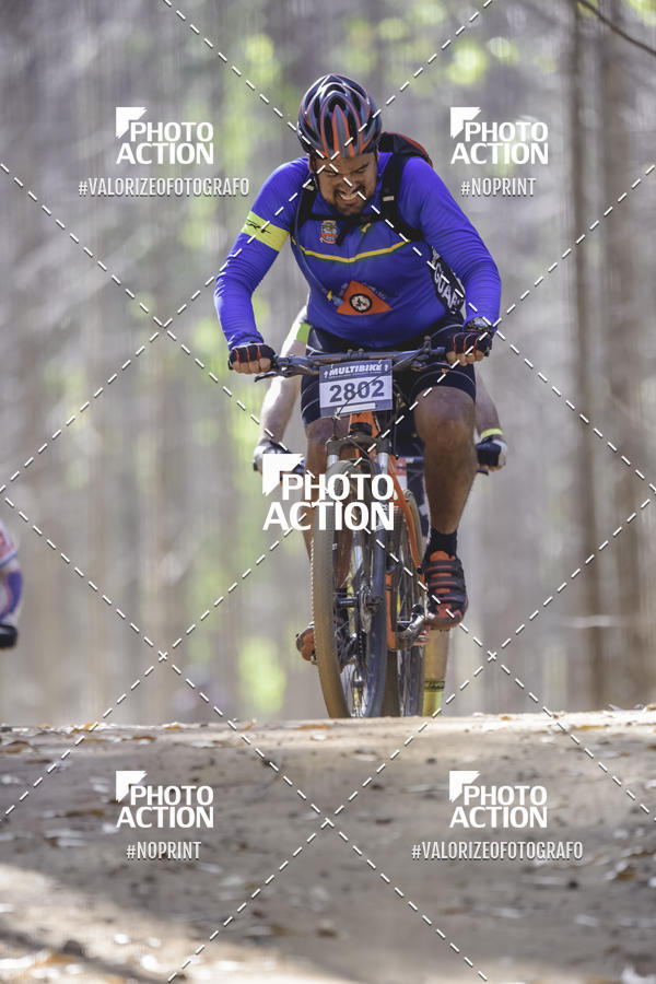 Buy your photos of the event16 Edio Maratona 100Km Canaviais on Fotop