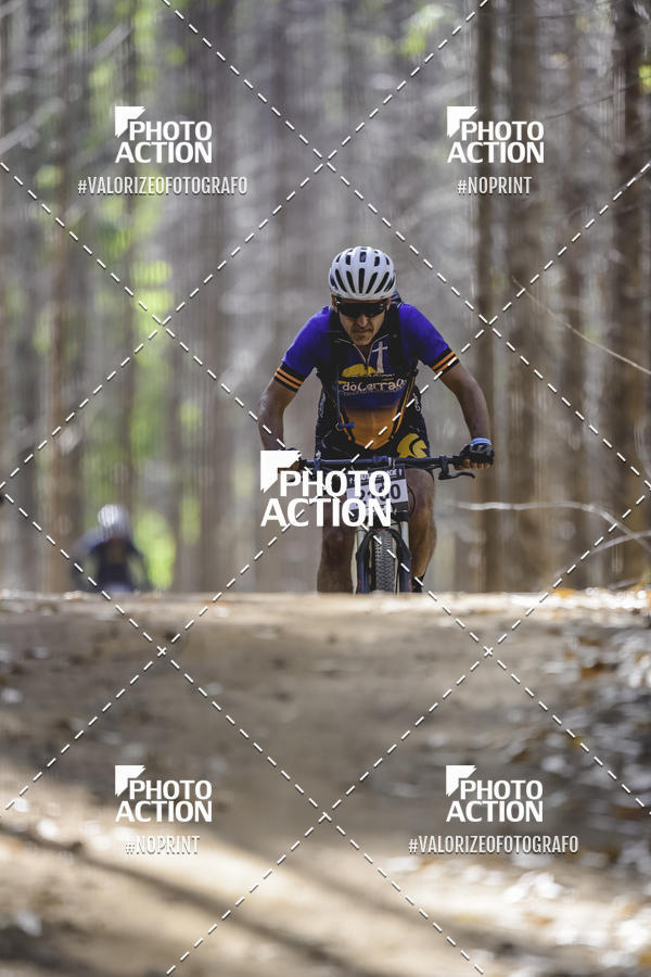 Buy your photos of the event16 Edio Maratona 100Km Canaviais on Fotop