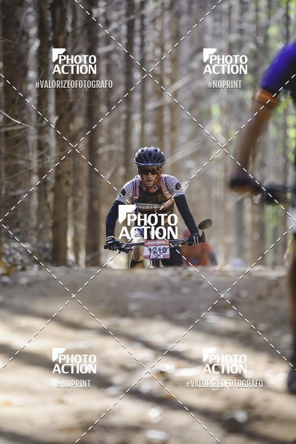 Buy your photos of the event16 Edio Maratona 100Km Canaviais on Fotop