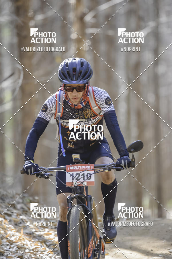 Buy your photos of the event16 Edio Maratona 100Km Canaviais on Fotop