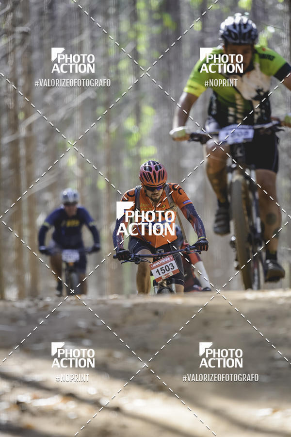 Buy your photos of the event16 Edio Maratona 100Km Canaviais on Fotop
