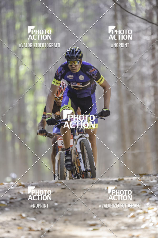 Buy your photos of the event16 Edio Maratona 100Km Canaviais on Fotop