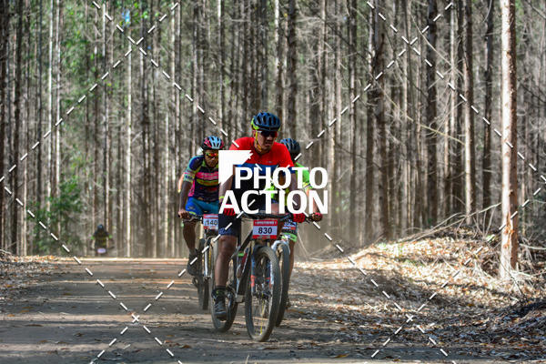 Buy your photos of the event16� Edi��o Maratona 100Km Canaviais on Fotop
