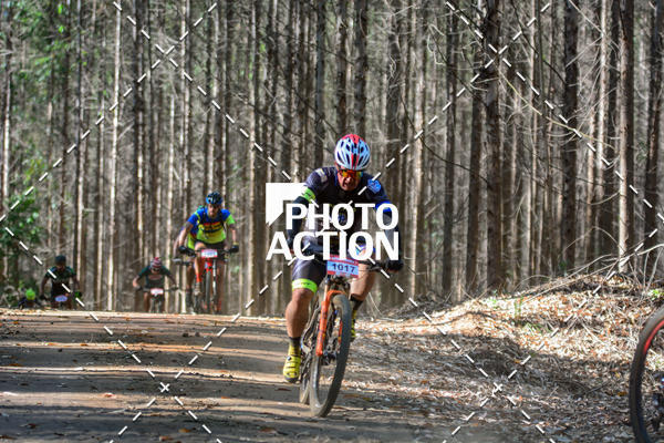 Buy your photos of the event16� Edi��o Maratona 100Km Canaviais on Fotop